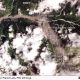 Citra satelit menyingkap dampak banjir bandang Nepal: desa, jembatan, dan perlintasan Nepal–Tibet lenyap