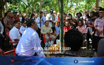 Mentan Andi Amran Sulaiman Terbang ke Alor Usai Keluhan Harga Beras Tembus Rp30.000/Kg