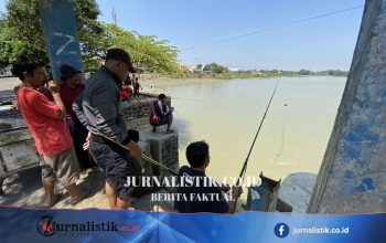 Kemarau Berkepanjangan Buat Waduk Bojongsari Indramayu Surut, Sungai Cimanuk Lama Mengering