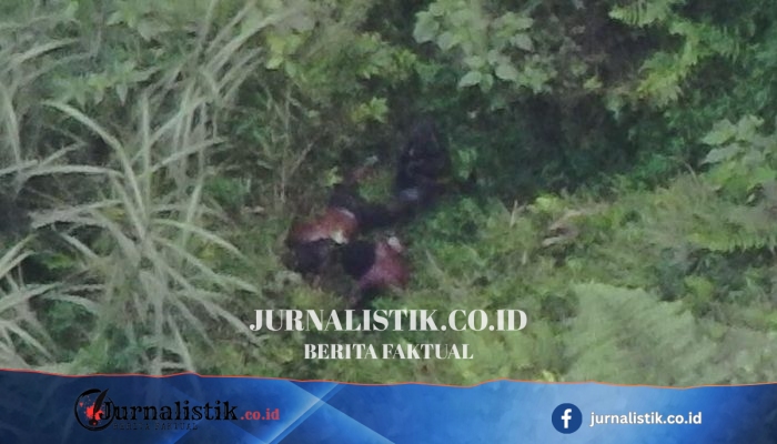 Ditembak Satgas Damai Cartenz, Guspi Waker Dibawa ke Hutan