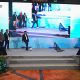 Integrasi Layanan Informasi Publik Diluncurkan Pertamina, Dorong Keterbukaan dan Mutu Layanan Informasi