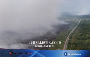 Menko Polkam: Enam Provinsi Paling Kritis Karhutla, Jambi hingga Kalimantan Tengah