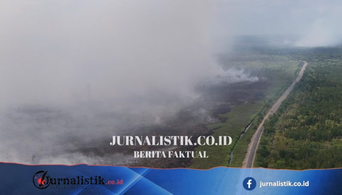 Menko Polkam: Enam Provinsi Paling Kritis Karhutla, Jambi hingga Kalimantan Tengah
