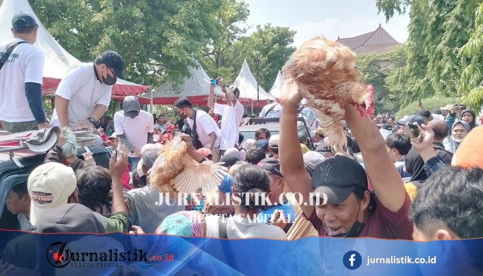 Peternak Kendal Gelar Bagi-bagi 15.000 Ayam Gratis, Pantura Sempat Tersendat