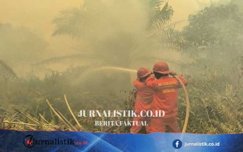 Karhutla di Tulung Selapan, OKI Berkembang hingga 200 Hektare; Petugas Manggala Agni Terkendala Air dan Akses