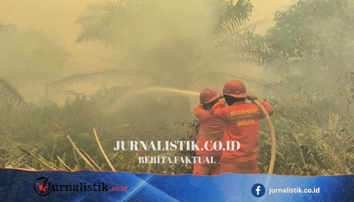 Karhutla di Tulung Selapan, OKI Berkembang hingga 200 Hektare; Petugas Manggala Agni Terkendala Air dan Akses