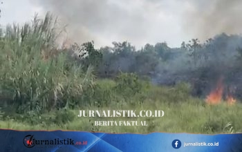 Kebakaran Lahan di Samarinda Dekat Permukiman, Pekerja Pembersih Diamankan Polisi