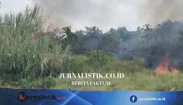 Kebakaran Lahan di Samarinda Dekat Permukiman, Pekerja Pembersih Diamankan Polisi