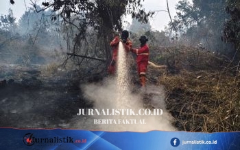 50 Hektar Gambut Terbakar di Inhu Riau, Api Belum Padam, Asap Masih Tebal
