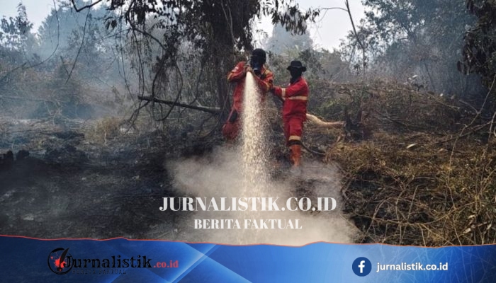 50 Hektar Gambut Terbakar di Inhu Riau, Api Belum Padam, Asap Masih Tebal