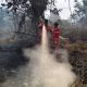 50 Hektar Gambut Terbakar di Inhu Riau, Api Belum Padam, Asap Masih Tebal