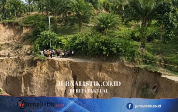 Satgas PRR Percepat Pemulihan Akses Padang Pariaman Lewat Penanganan Terpadu Jalan dan Sungai