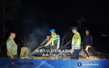 Kebumen Diguncang Kebakaran Hutan Pinus Perhutani, Setengah Hektare Hangus