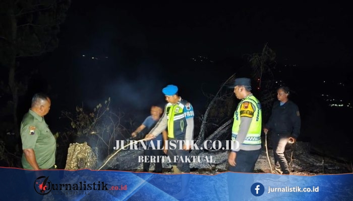 Kebumen Diguncang Kebakaran Hutan Pinus Perhutani, Setengah Hektare Hangus