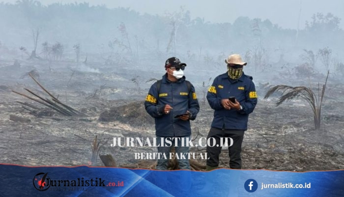 Ditangkap Ayah-Anak, MK dan DJ Tersangka Karhutla Bengkalis di KBKT HGU PT TKWL