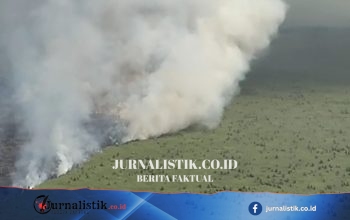 Karhutla di Muara Ohong, Kutai Barat Makin Luas; Pemadaman Terkendala Akses hingga Pertimbangkan Water Bombing