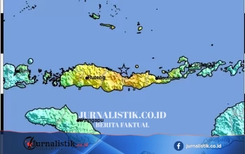 Gempa M 7,7 Guncang Mbay, Nagekeo: Warga Panik dan Mengungsi, Peringatan Tsunami Belum Dicabut