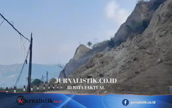 Gempa NTT M 7,7 Putuskan Jalan Trans Flores: Longsor Tutup Jalur Ende–Bajawa