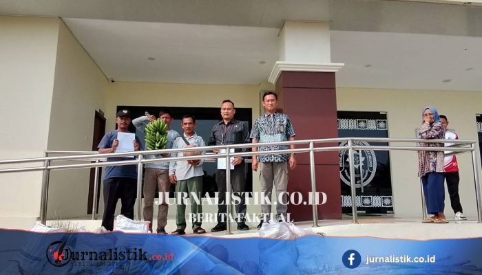 Putusan Banding dan Kasasi Naikkan Denda 3 Petani Mukomuko dari Rp 1,3 Miliar ke Rp 3 Miliar