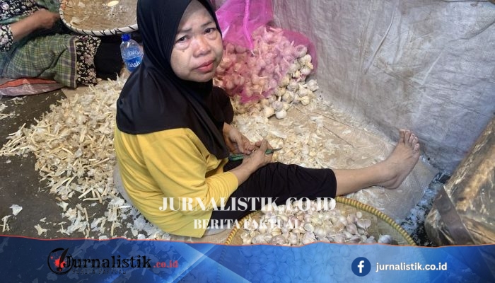 Selamet (64) Diupah Rp60.000 Mengupas Bawang Putih sampai Malam demi Makan dan Bayar Kontrakan