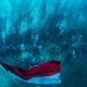 Bendera Merah Putih Berkibar di Dasar Laut Pulau Biak, Momen Mengingat Sejarah Penting Indonesia