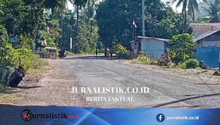 Getaran Gempa M 5,8 Guncang Sikka, Warga Wodamude Berhamburan ke Jalan