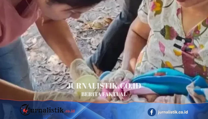 Gempa NTT M: Dua Ibu Melahirkan di Puskesmas Watubaing, Sikka, saat Gempa Susulan; 68 Orang Meninggal