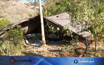 Imbas Gempa NTT, Warga Pantura Sikka Kembali Mengungsi dan Bertahan di Terpal