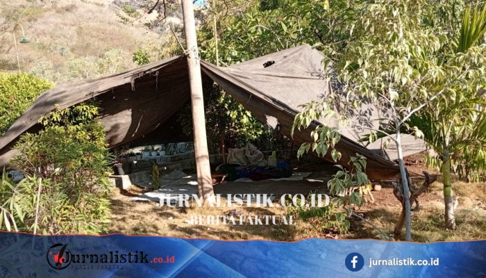 Imbas Gempa NTT, Warga Pantura Sikka Kembali Mengungsi dan Bertahan di Terpal