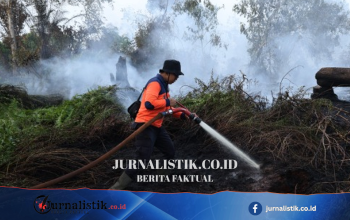 3.759 Titik Panas Mengancam Kalbar, Kabut Asap Karhutla Turunkan Kualitas Udara