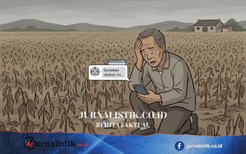 Resep Chatbot AI Pestisida Berujung Petani Chuzhou Kehilangan Panen Wijen 10 Hektar