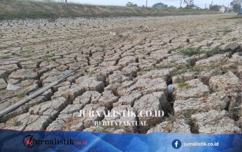 Kemarau di Demak Mengeringkan Sungai Berretak, Ribuan Warga Desa Ngaluran Krisis Air Bersih