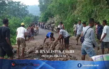 Gempa Magnitudo 7,7 di Flores NTT: Infrastruktur Terdampak, Bantuan Terus Dialirkan, Korban 70 Jiwa