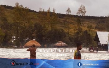 Tiga Distrik di Lanny Jaya Terdampak Hujan Es, Pertanian Rusak dan Warga Terancam Panen Gagal