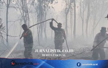 Karhutla Gambut di Kampar Kian Meluas, Tim Pemadam Kekurangan Air