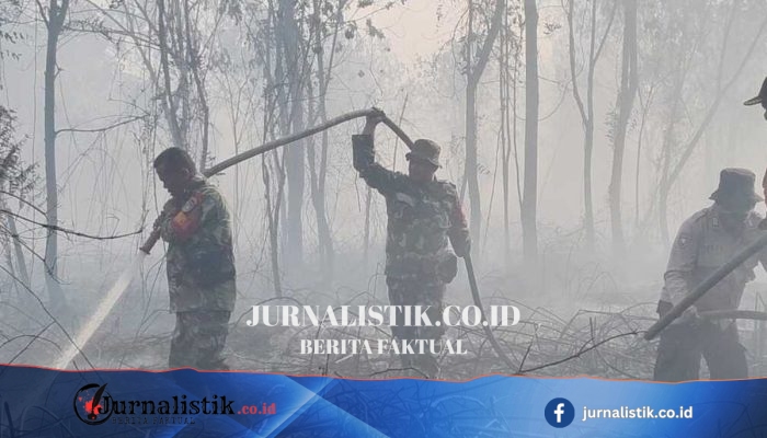 Karhutla Gambut di Kampar Kian Meluas, Tim Pemadam Kekurangan Air
