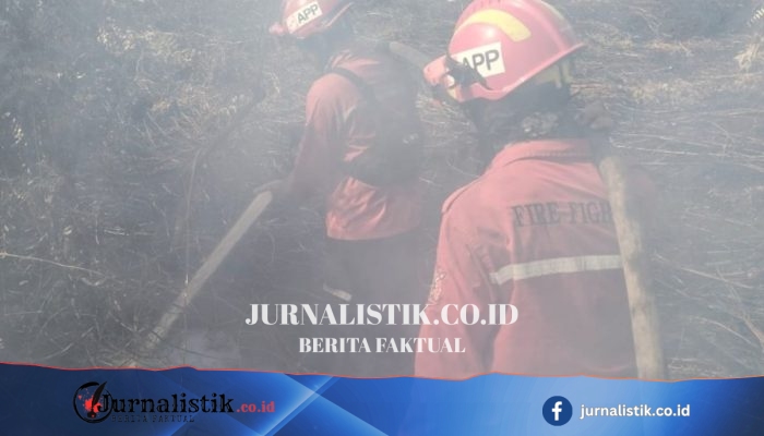 Karhutla Riau Dekat Areal HTI, Tim Damkar dan 2 Helikopter Water Bombing Dikerahkan