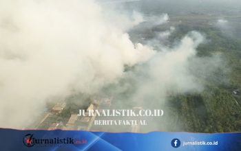 Karhutla Kalimantan dan Taruhannya bagi Geopolitik Indonesia