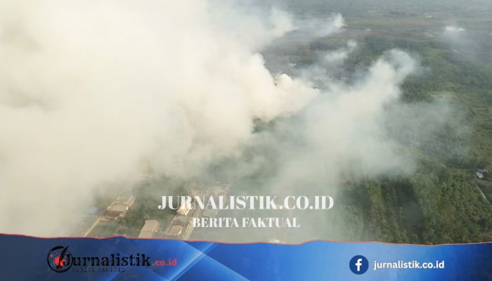Karhutla Kalimantan dan Taruhannya bagi Geopolitik Indonesia