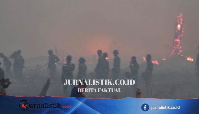 Kebakaran Hutan Nabire Semakin Dekat Bandara, Asap Turunkan Jarak Pandang hingga 50 Meter