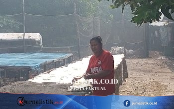 Di Tengah Kabut Karhutla, Nurhayati (60) Tetap Menjemur Kerupuk Opak di Kampar