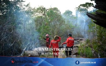 Karhutla di Berau Kaltim Kian Dekat Pusat Rehabilitasi Orangutan, Abu Sempat Masuk Kandang