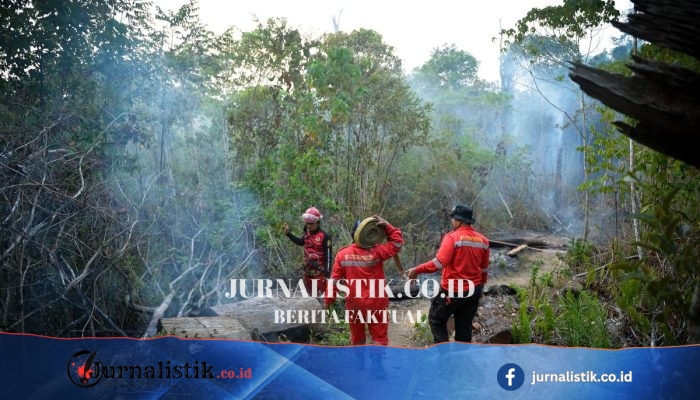 Karhutla di Berau Kaltim Kian Dekat Pusat Rehabilitasi Orangutan, Abu Sempat Masuk Kandang