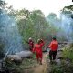 Karhutla di Berau Kaltim Kian Dekat Pusat Rehabilitasi Orangutan, Abu Sempat Masuk Kandang