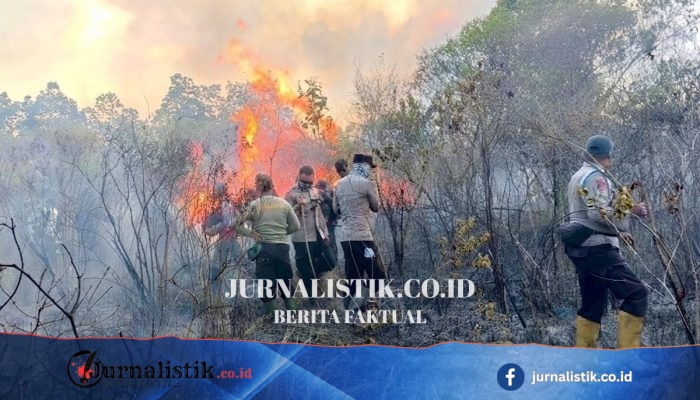 Karhutla TN Way Kambas Hanguskan 673 Hektar, Gajah Liar Dikabarkan Aman di Wilayah Utara