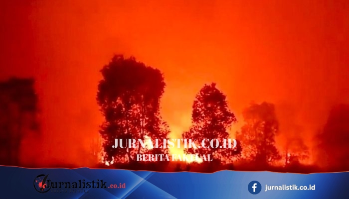 Bareskrim Dalami Jejak Dana 72 Tersangka Pembakaran Hutan dan Lahan