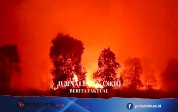 BPBD Lampung Siapkan Operasi Udara dan Hujan Buatan untuk Kendalikan Karhutla di TN Way Kambas