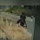 Rekaman CCTV Viral di Manggar, Belitung Timur: Bakar Lahan, Api Hampir Jalar ke Permukiman