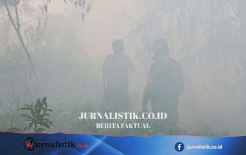 Karhutla Rimbo Panjang Kampar Semakin Parah: Api Membesar, Asap Pekat Mengarah ke Jalan Lintas Sumatera