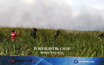 TNI Luncurkan Drone untuk Bantu Pemadaman Karhutla di Way Kambas, Mayoritas Titik Api Dipadamkan